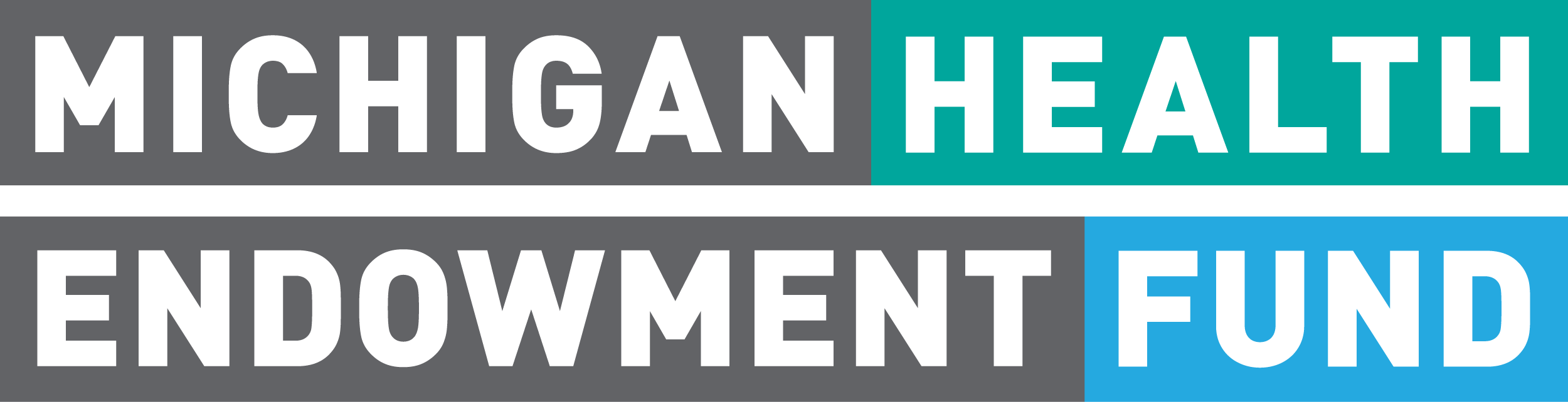 Michigan Health Endowment Fund